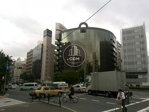 大通り