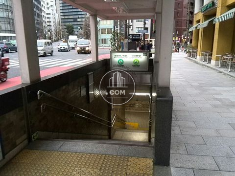 大通り