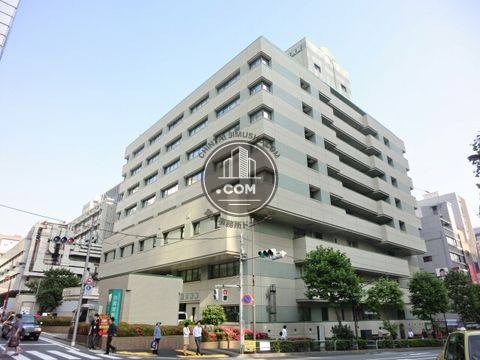 大通り
