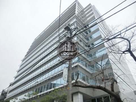 大通り