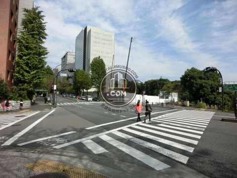 大通り