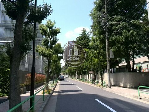 裏路地