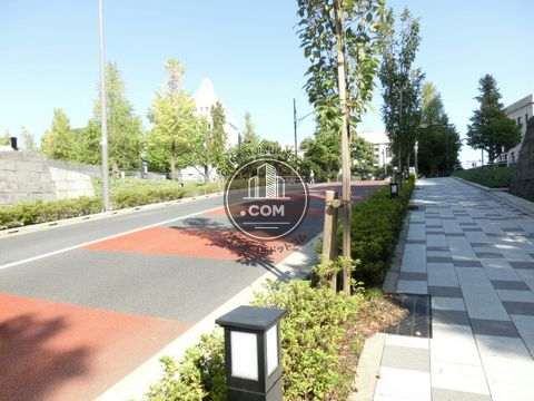 裏路地