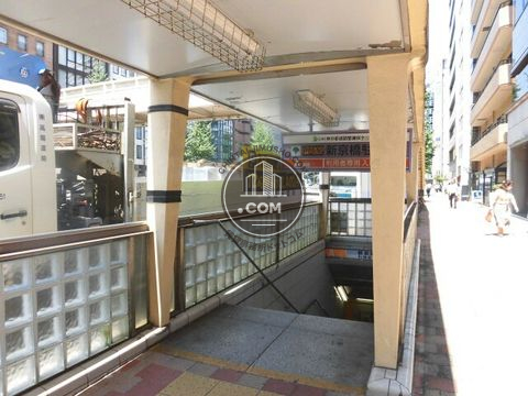 大通り