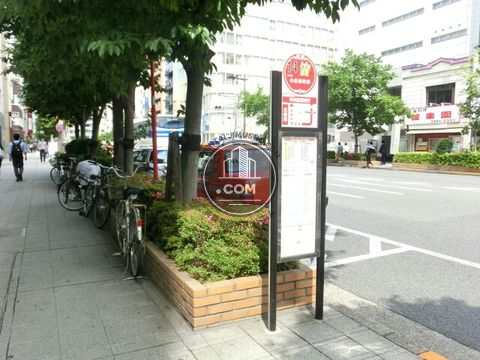 大通り