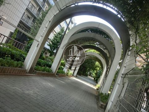 裏路地