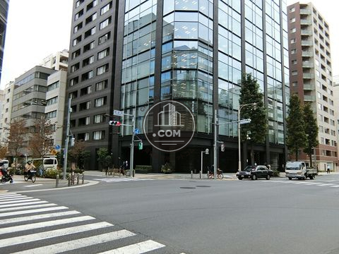 大通り