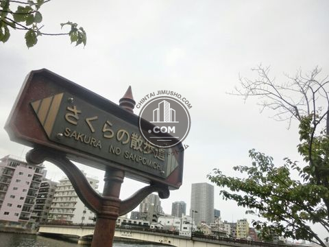 裏路地