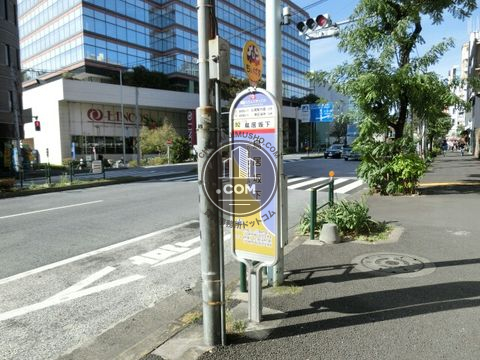 大通り