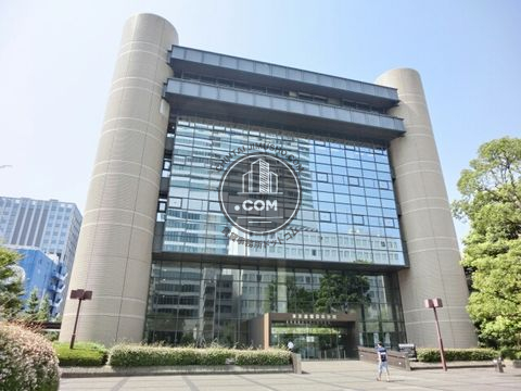大通り