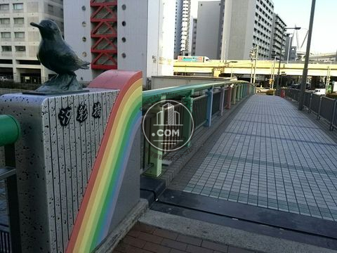 大通り