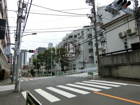 大通り