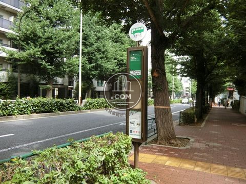 大通り