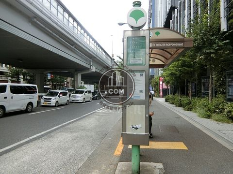 大通り