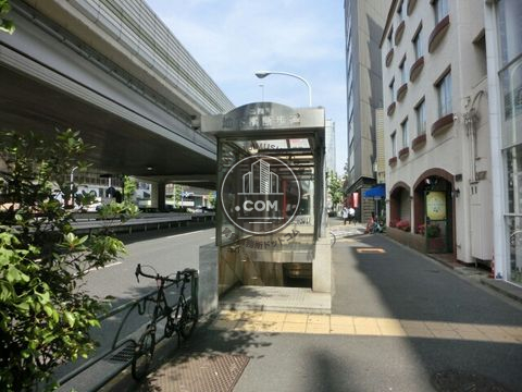 大通り