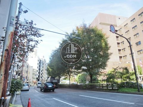大通り