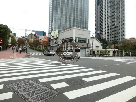 大通り