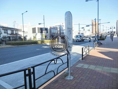 大通り