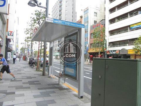 大通り