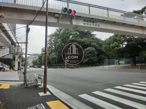 大通り