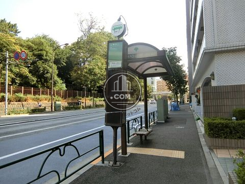 大通り