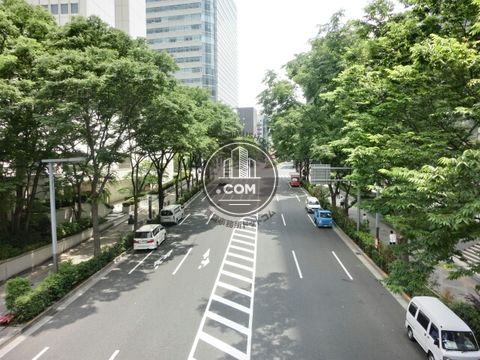 大通り