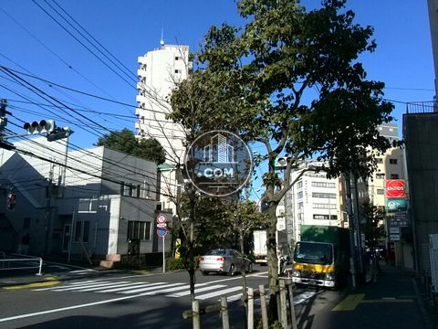 大通り