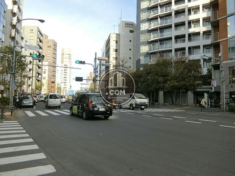 大通り