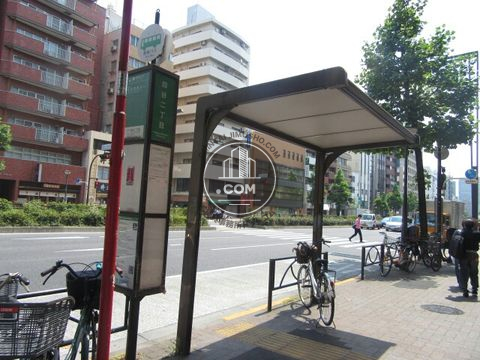 大通り