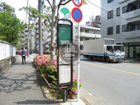 大通り