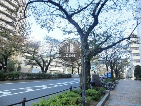大通り