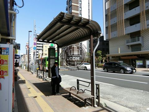 大通り