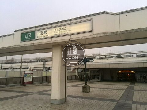 駅周辺