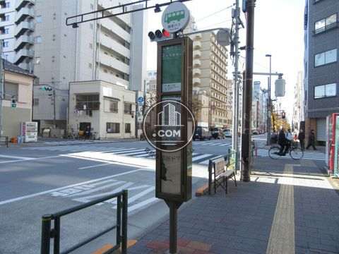 大通り