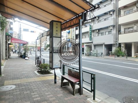 大通り