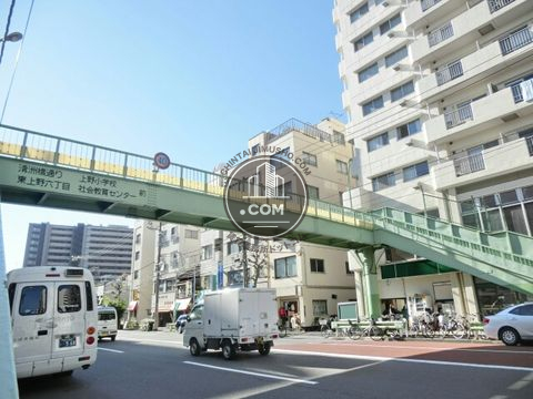大通り