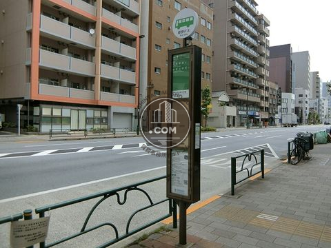 大通り