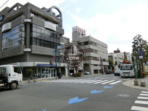 大通り