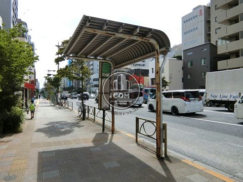 大通り