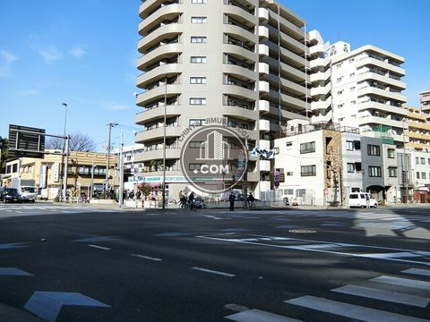 大通り