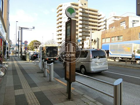 大通り