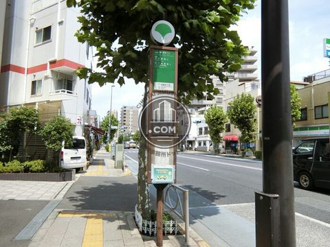 大通り