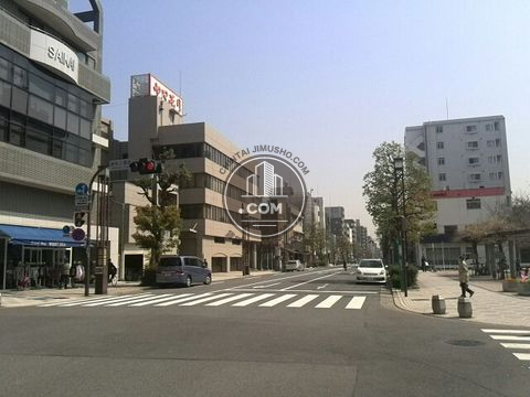 大通り