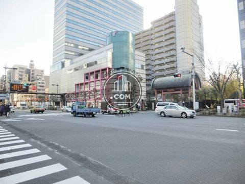 大通り