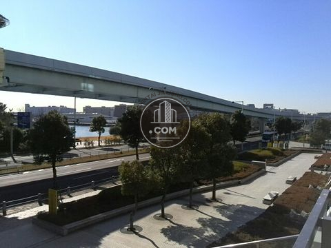 大通り