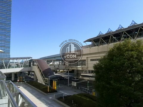 大通り