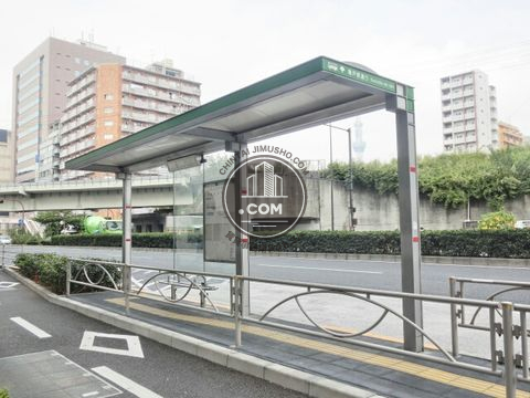 大通り