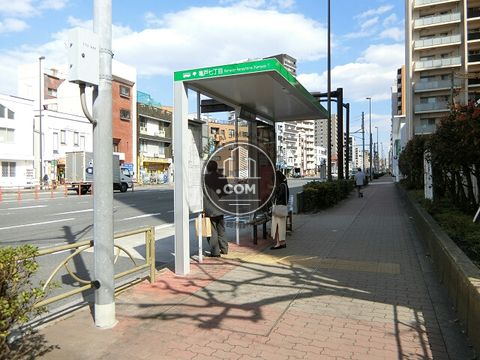 大通り