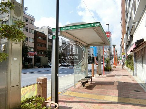 大通り