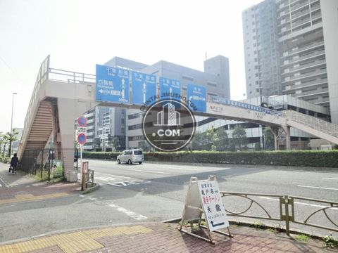 大通り